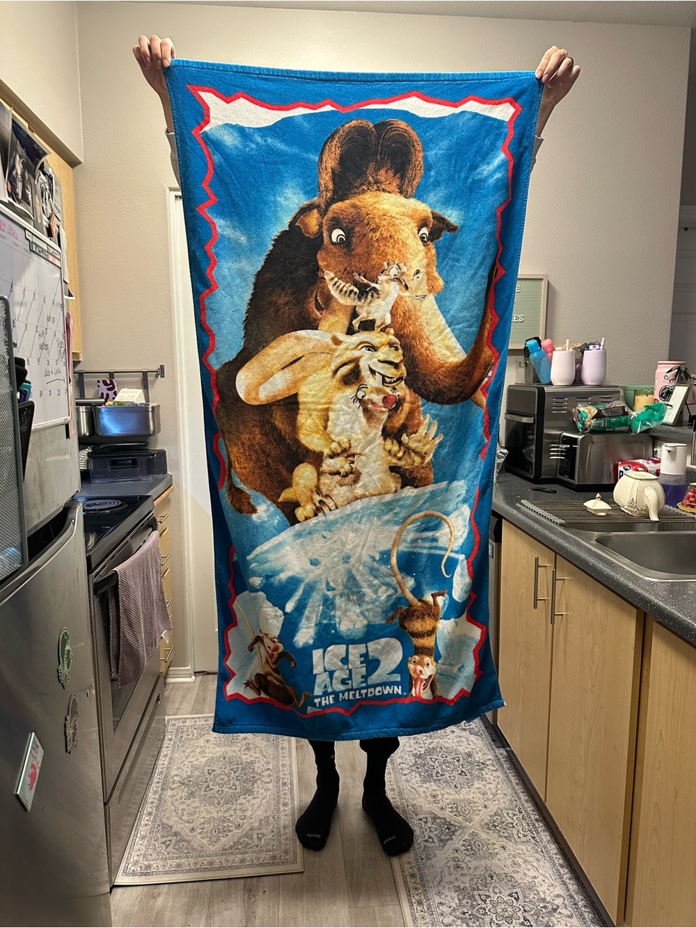 Ice Age 2 Kids Bath Towel - Blue - Movie Character Plush Print